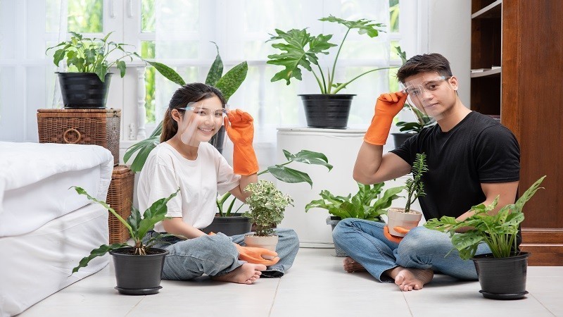 house conservation tricks livpristhouse